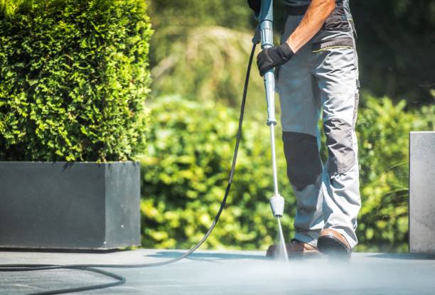 Animal Enclosure Cleaning in Patton Village, TX
