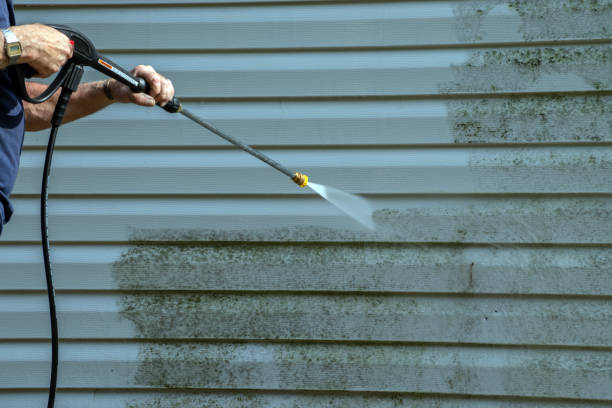 Best Patio and Deck Pressure Washing  in Patton Village, TX